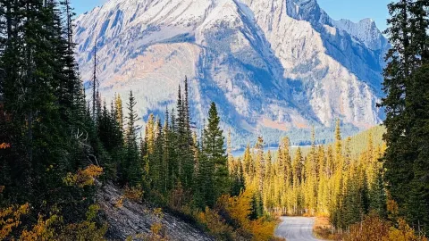 🇨🇦 Canmore, Alberta – A Breathtaking Mountain Escape in the Canadian Rockies 🏔️✨ — traveler post in Canmore