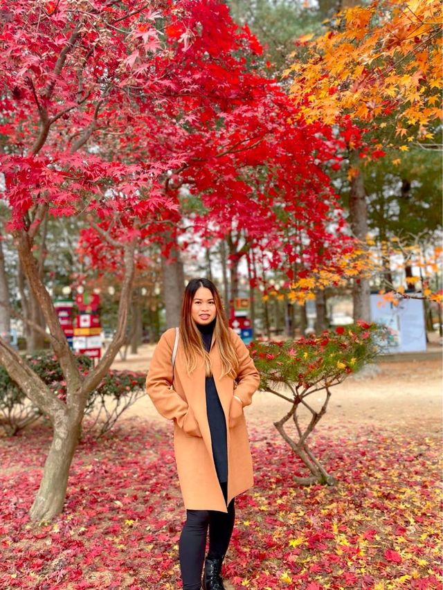 AUTUMN IN NAMI ISLAND