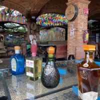 墨西哥-Tequila小鎮龍舌蘭酒廠之旅