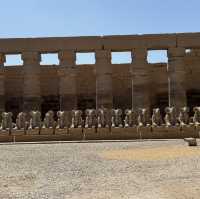  it is the largest temple complex in 🇪🇬