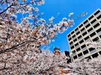 難波中公園