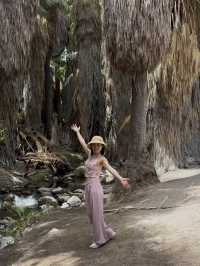 come and see the desert oasis！！