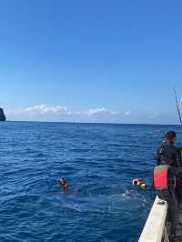 🐟高知の秘境アイランド🇯🇵【鵜来島（うぐるしま）】海に癒される旅
