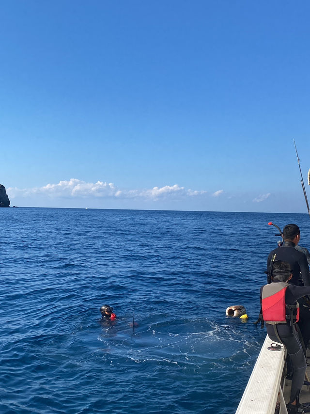 🐟高知の秘境アイランド🇯🇵【鵜来島（うぐるしま）】海に癒される旅