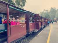 墨爾本Puffing Billy 蒸汽小火車魔幻時刻