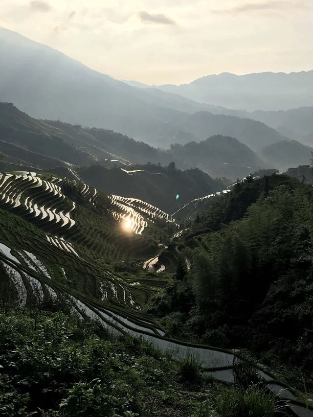 Guilin: Longsheng sunrise at rice terraces