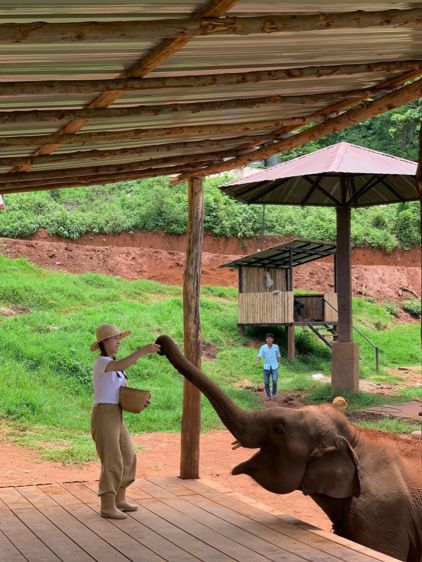 🐘코끼리랑 교감할 수 있는 치앙마이카페 🏡