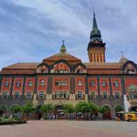 A Serene City in Northern Serbia