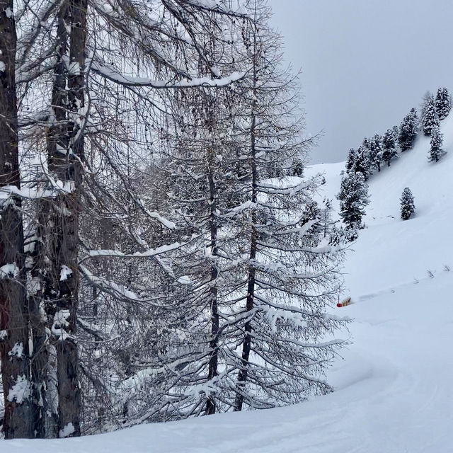 A Week of Skiing Bliss ❄️
