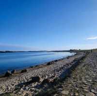 Aarhus: hidden gem of denmark!