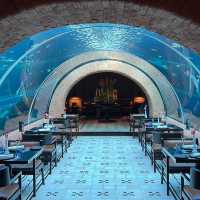 IF HOSPITALITY WAS A RESTAURANT! 