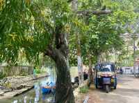 Introduction to Amritapuri Ashram