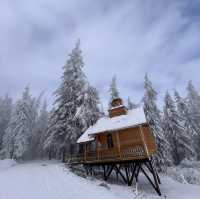 Bulgaria-Sofia-Vitosha Mountain 