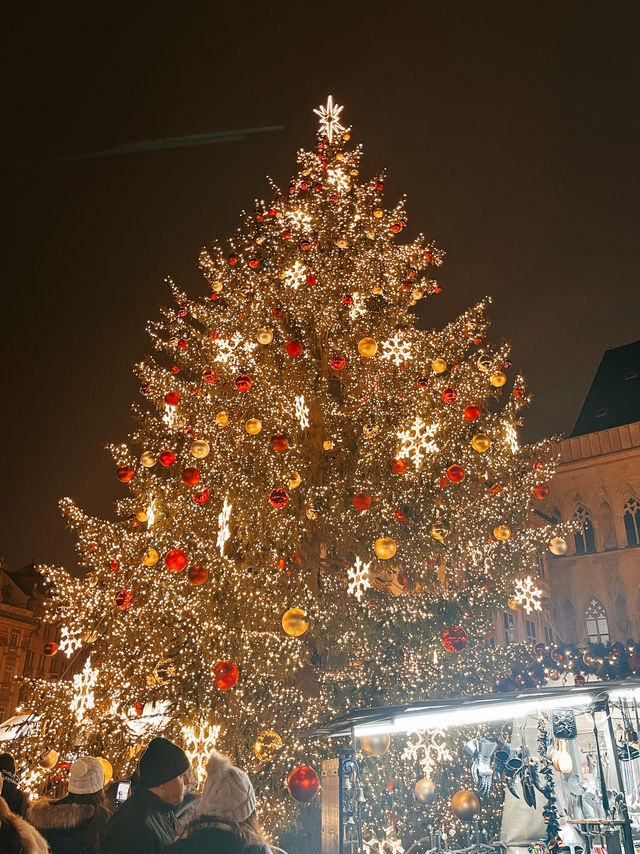 🇨🇿捷克布拉格🎄舊城廣場聖誕市集🍻