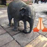 Travels in Chester