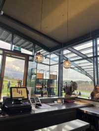Beyond the Skyline: A Melbourne Escape Like No Other" 