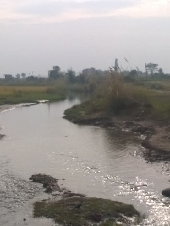 Rural Life in Jammu: Simplicity Amidst Nature