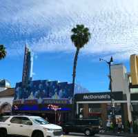 Stroll Among the Stars: The Walk of Fame in LA! ⭐️🎬