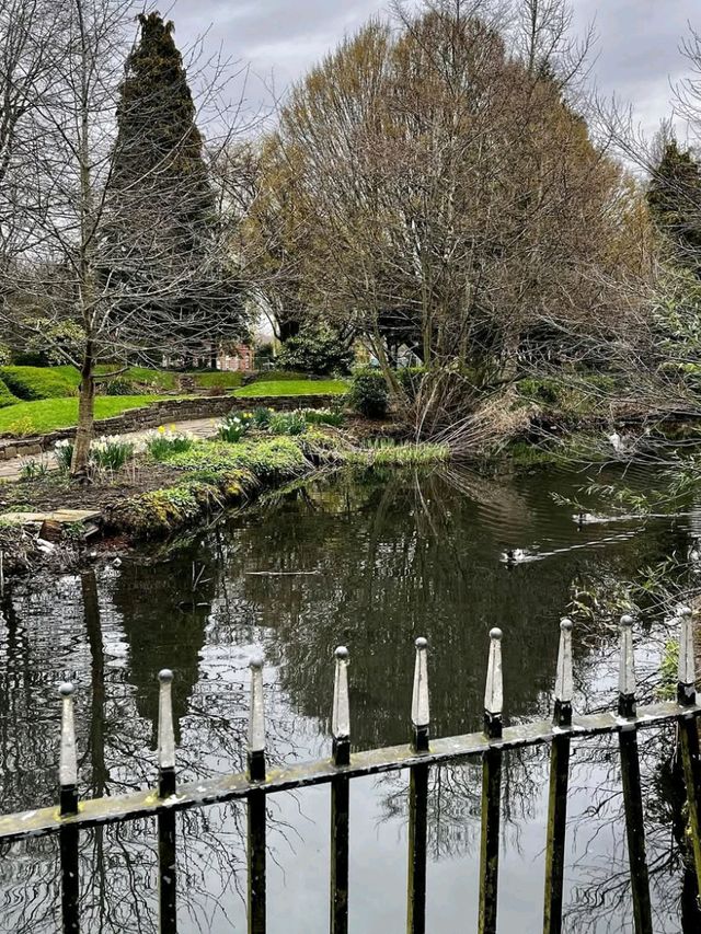🌸 Spring Has Landed in Cannon Hill Park, Birmingham! 🌳
