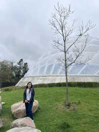 Aarhus Botanical Garden, Denmark