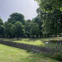 My trip to Den Haag 