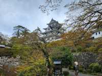 Gujo Hachiman: a charming little scenic town without crowds