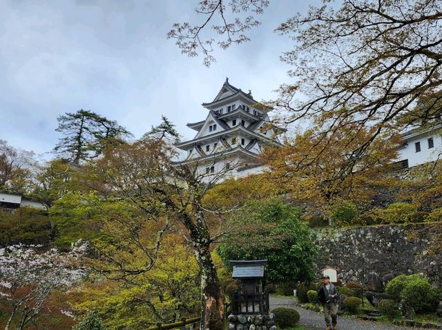 Gujo Hachiman: a charming little scenic town without crowds