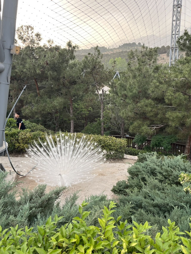 Iran-Tehran first trip