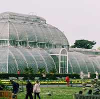 🌿 Kew Gardens, London: Nature’s Crown Jewel in the City