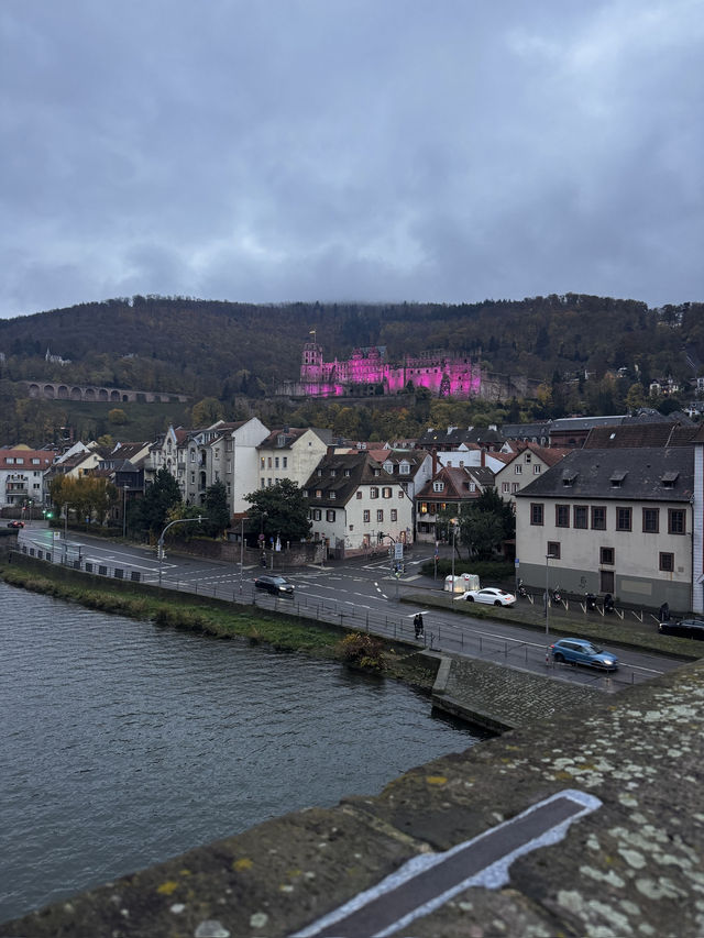Beauty of Heidelberg City 🌆