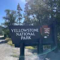 Yellowstone National Park Ultimate Transportation Guide