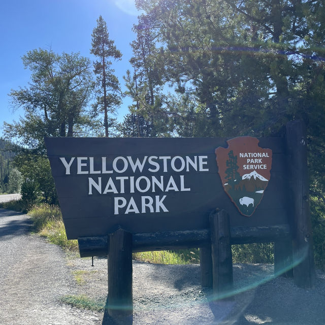 Yellowstone National Park Ultimate Transportation Guide