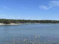 A Summer Budget Walk Through Turku: Castle, City, and Sea