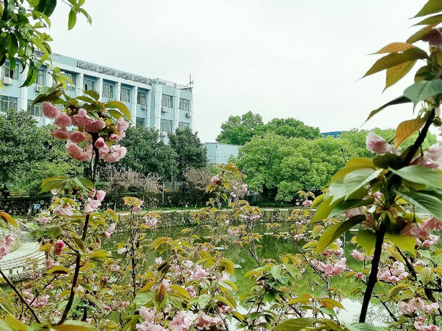 🎓 Jiangxi University of Finance & Economics (JUFE) – Nanchang