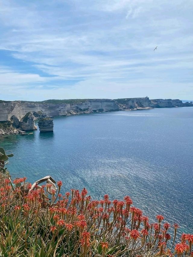 Bonifacio: The Dramatic Citadel of Corsica