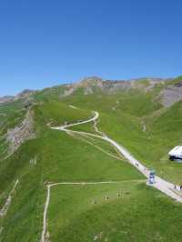 🏔️ รีวิว Grindelwald First – ประสบการณ์สุดขอบฟ้า