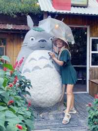 Piece of Japan in Vietnam 🇻🇳 Still cafe
