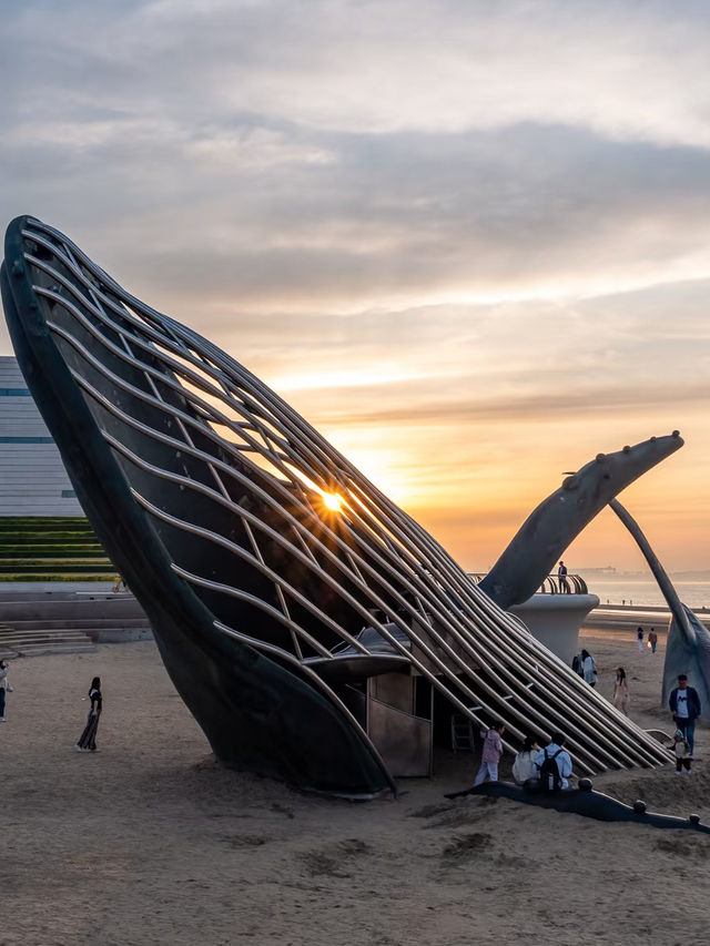 Seashells, Sunshine, and Seafood: A Day in Yantai