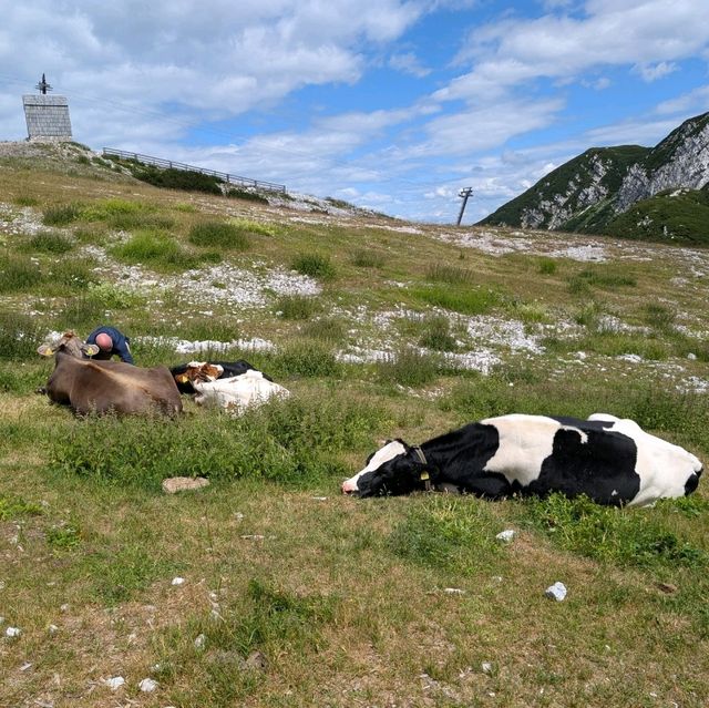 360° Mountain Views with <1hr of hiking in Slovenia