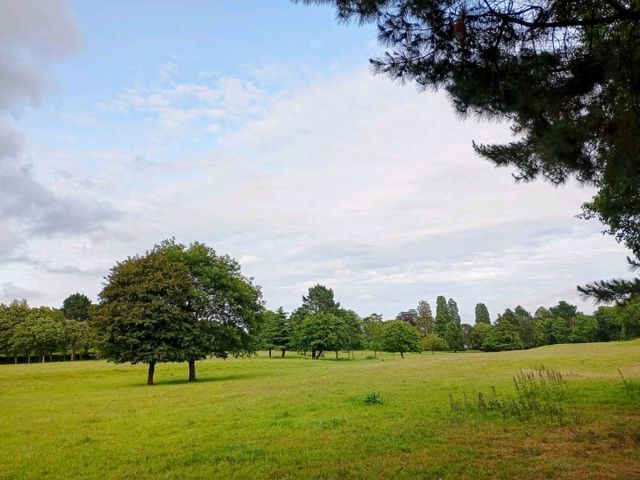 Dewstow Estate Caldicot, Highmoor Hill and Slade Wood 