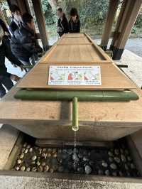 Japan Itinerary 9: Tokyo art, street, gardens and shrines