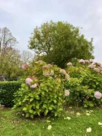 Garden Light