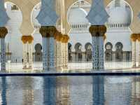 Modern Oasis Vibes🌴