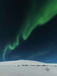 🌌 Chasing the Northern Lights — A Night Under the Whispering Sky