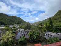 Green Zen Retreat🌱 | Trip.com Honolulu