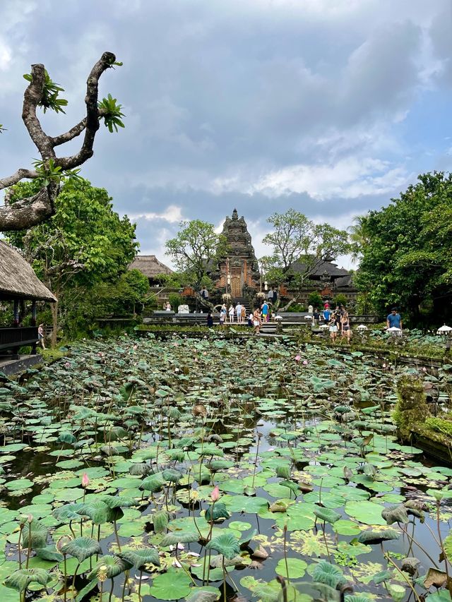 Saraswati Temple, Ubud, Bali🪷