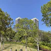 Shenzhen bay Shekou, Miami 😎