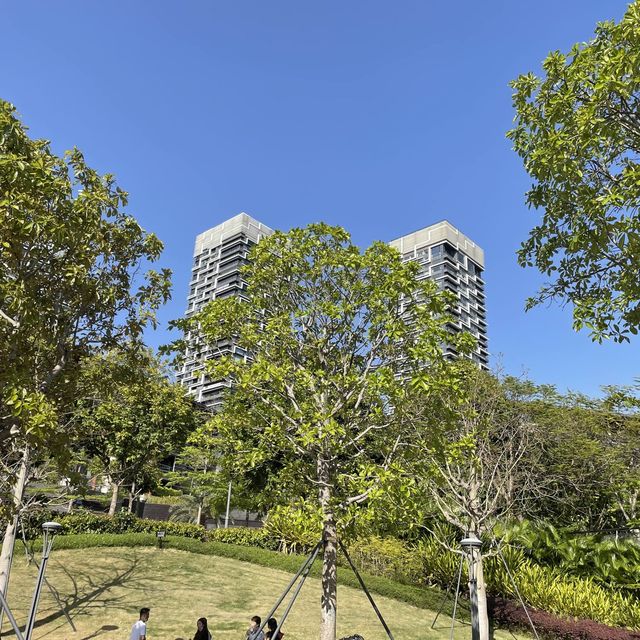 Shenzhen bay Shekou, Miami 😎