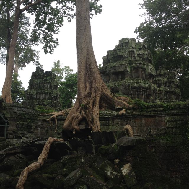 Angkor Wat - Cambodia 