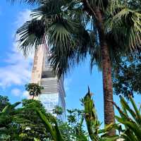 🏯🦢 Kowloon Park: A Hidden Oasis in the City 🌳🐒